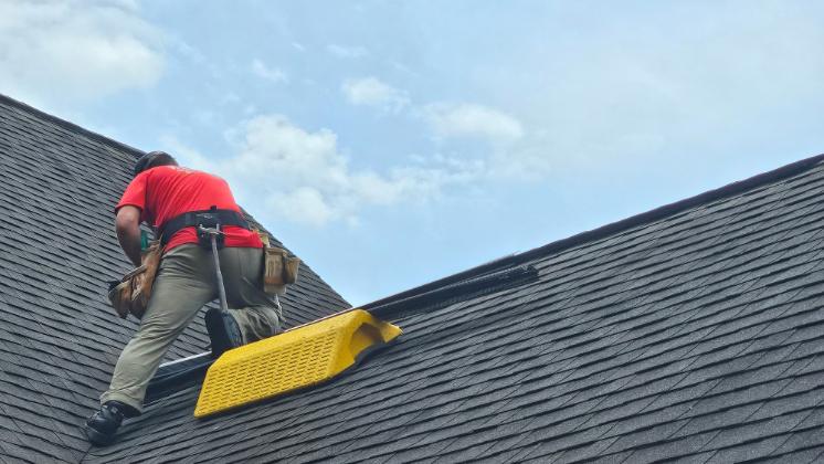 Wildlife damage repair by Critter Wranglers