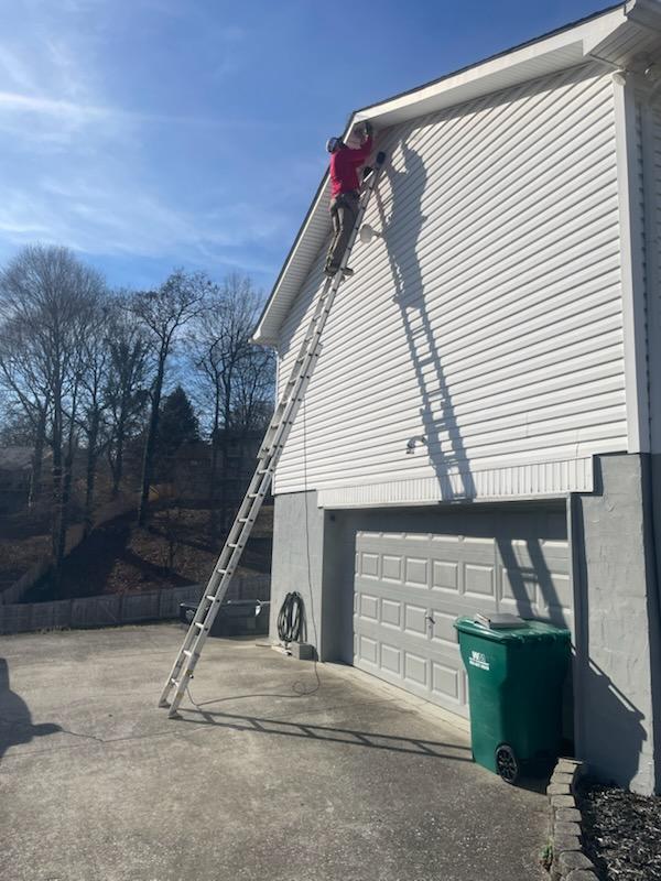Squirrel damage in a Knoxville, TN attic