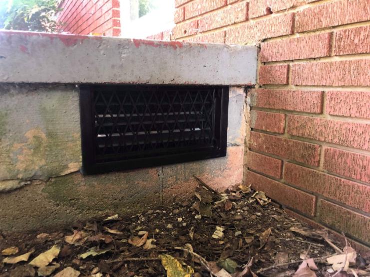 After exclusion and repair