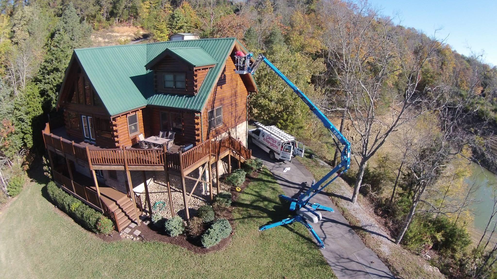 Animal damage to home soffit and fascia