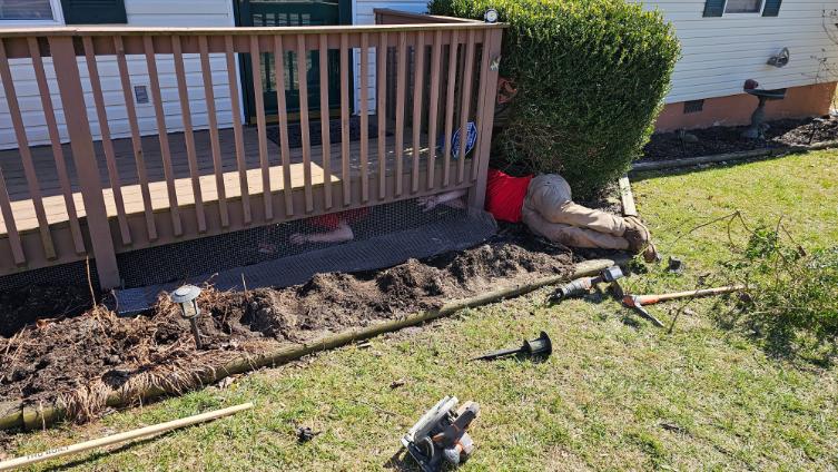 After exclusion and repair