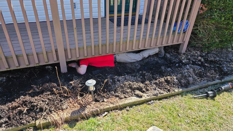 Before exclusion and repair