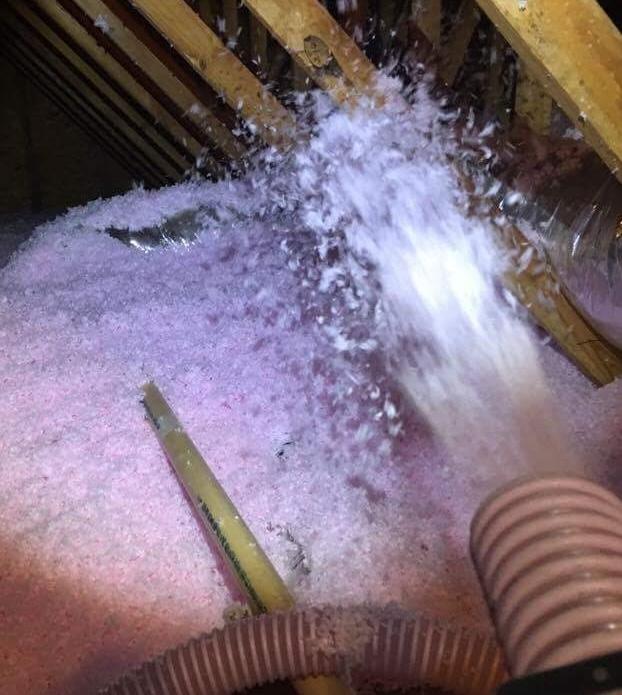 Attic restoration by Critter Wranglers