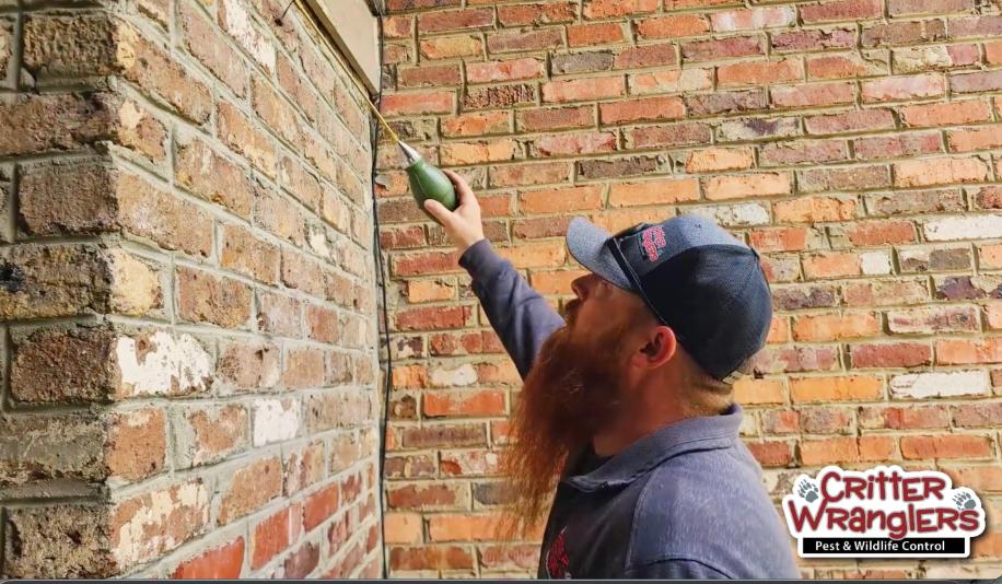 Critter Wranglers technician at a commercial facility