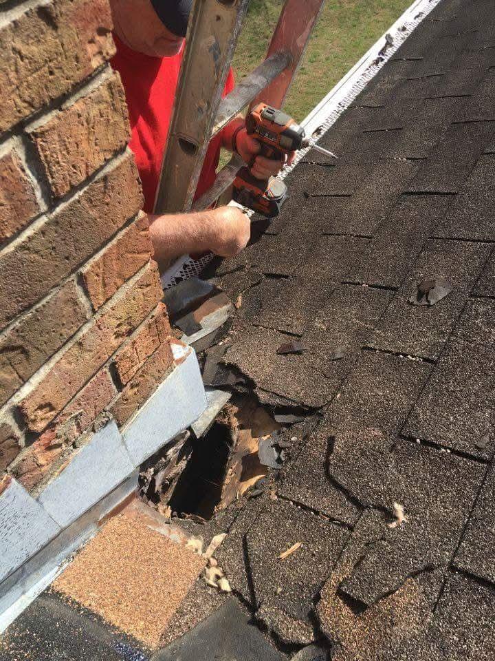Critter Wranglers technician repairing animal damage