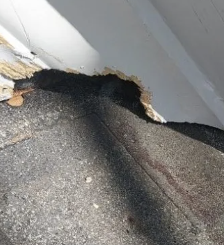 Rodent control inspection in a Knoxville, TN home