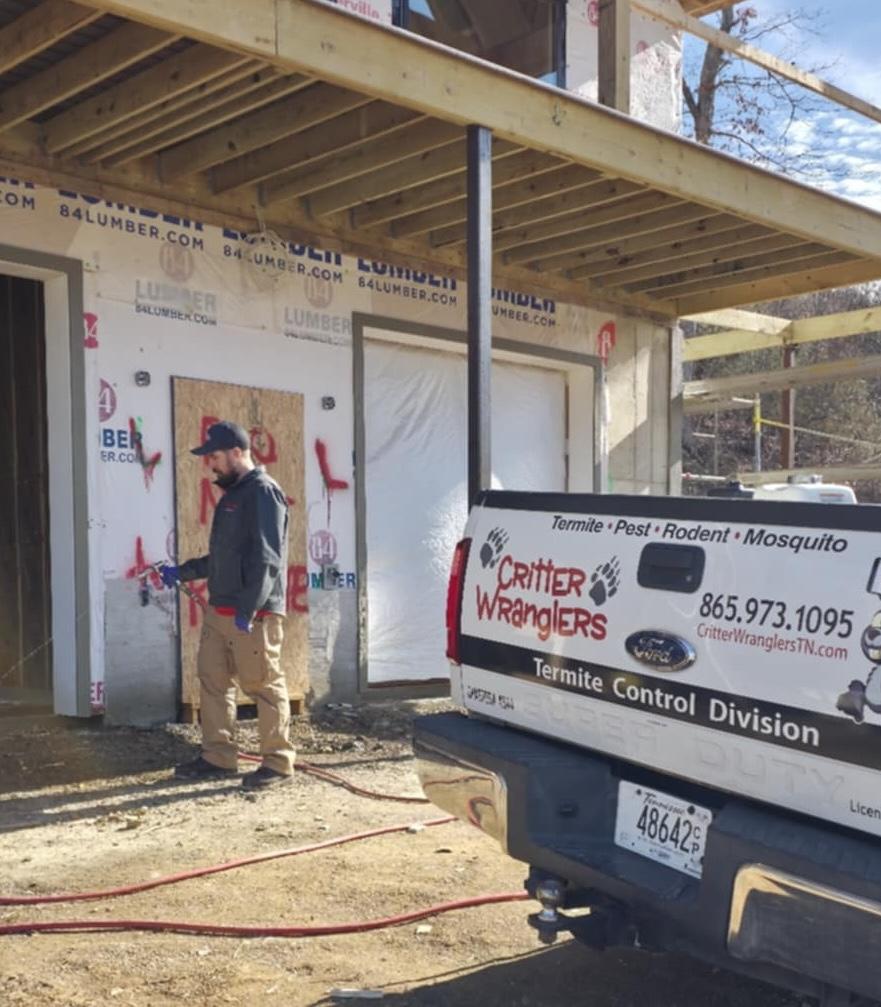 Termite damage inspection in a Knoxville, TN home