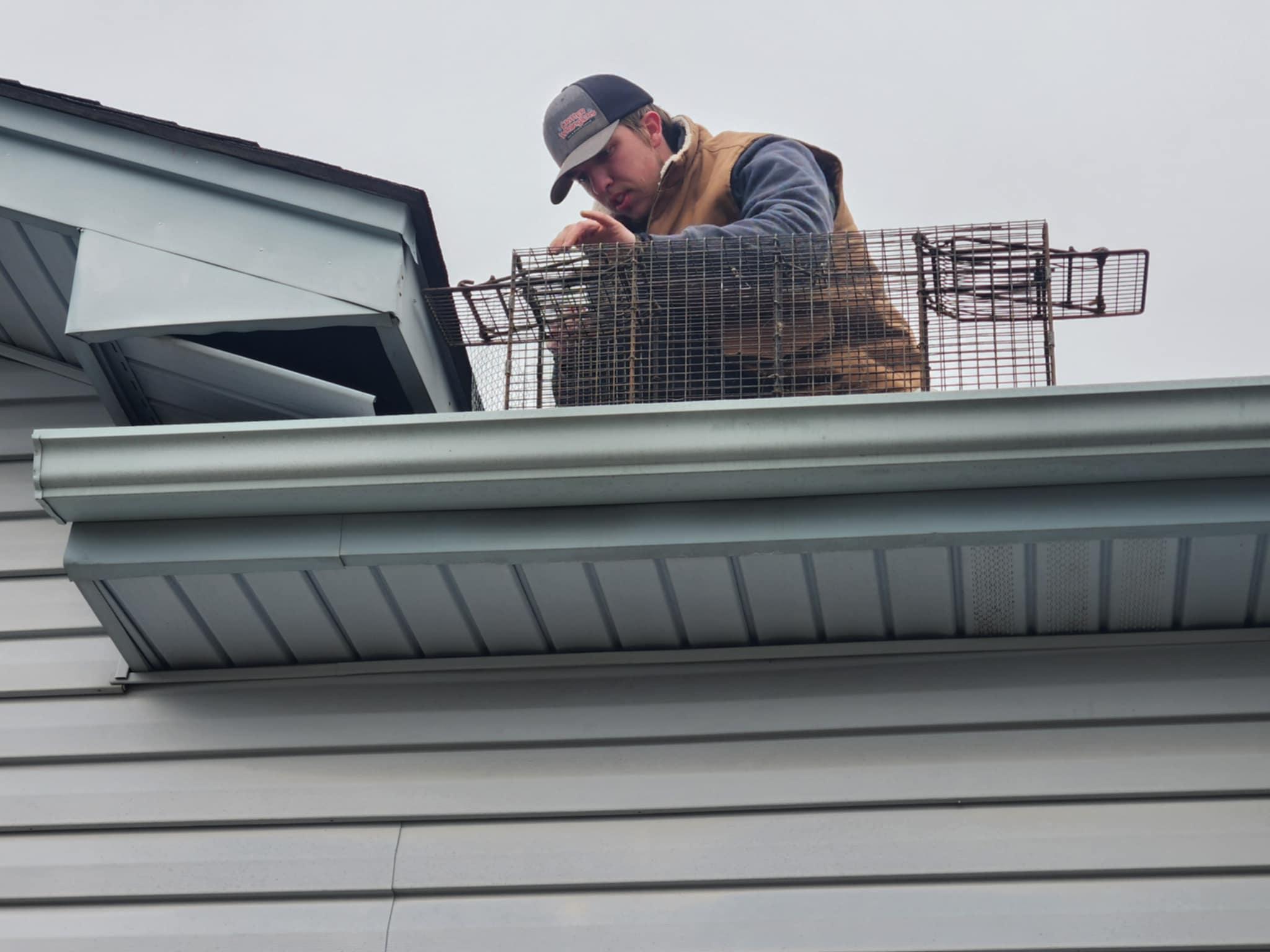 Critter Wranglers technician with service van