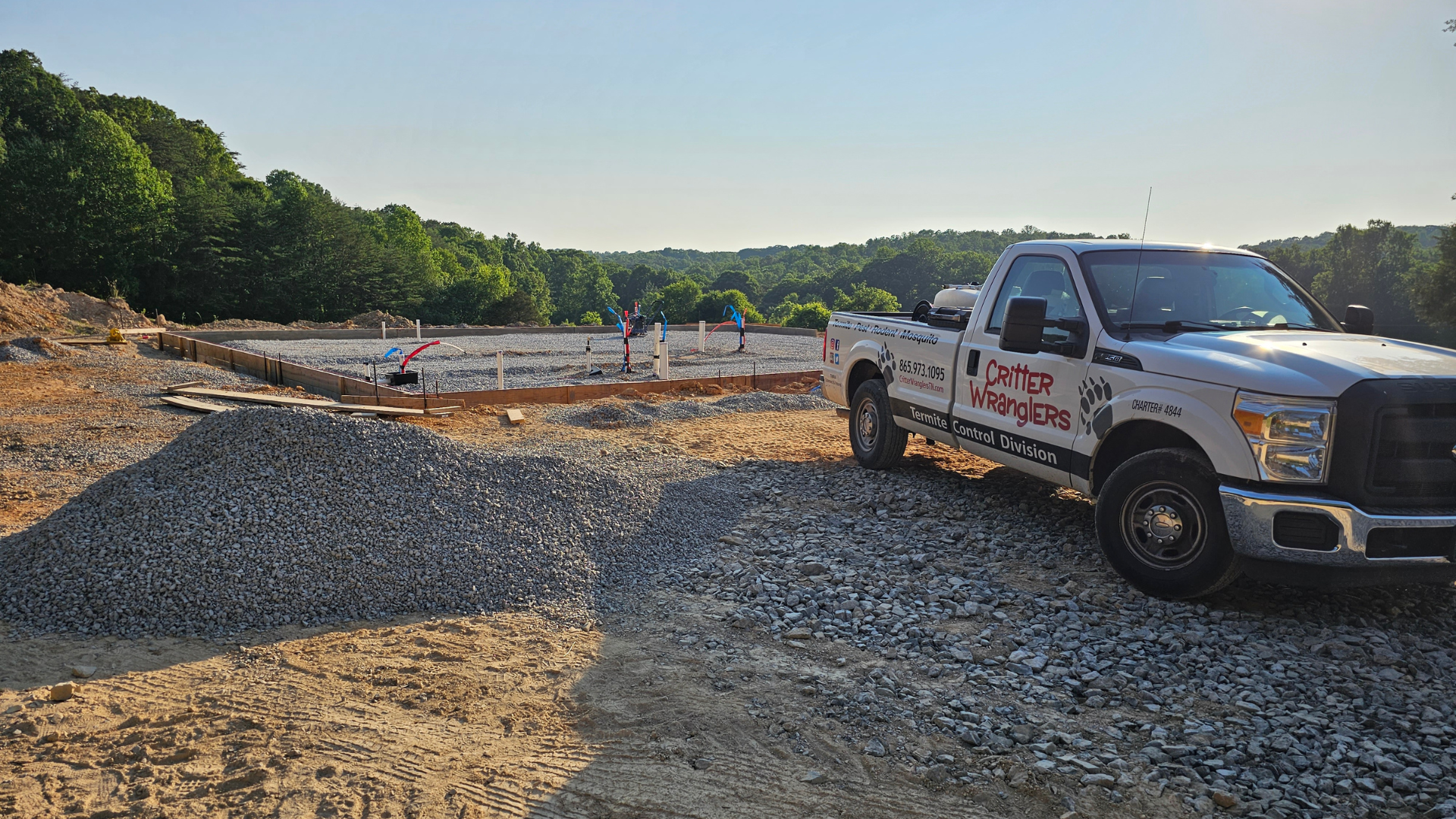 Pest Control & Wildlife Removal in Rockford, TN