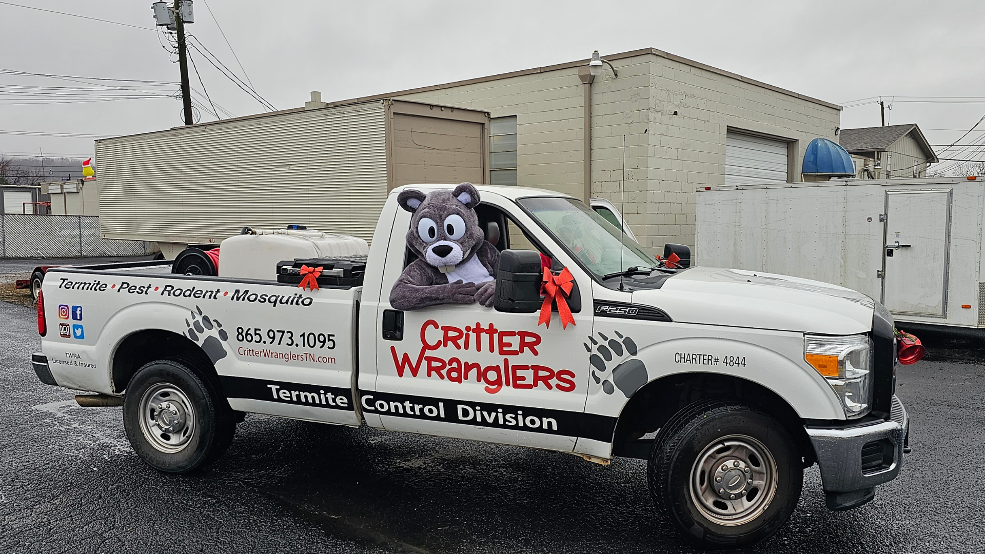 Pest Control & Wildlife Removal in East Knoxville, TN