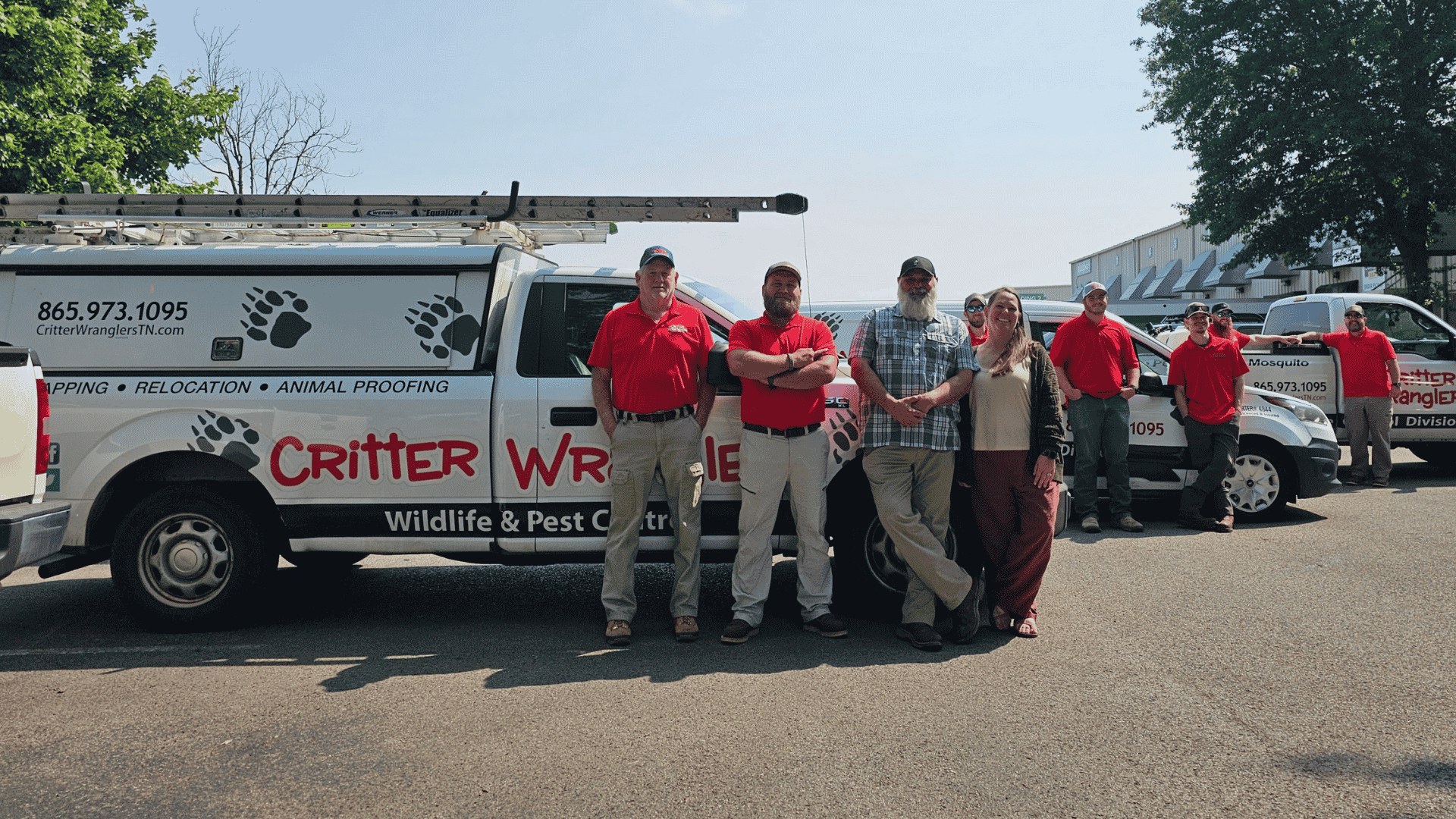 Pest Control & Wildlife Removal in Seymour, TN
