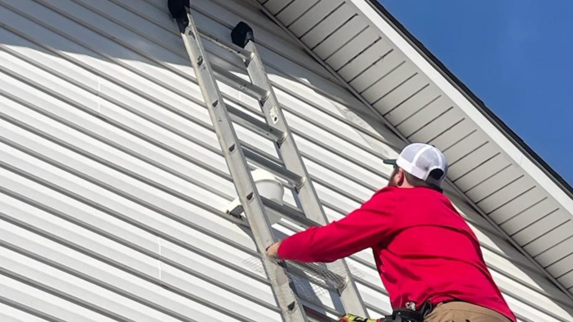 Pest Control & Wildlife Removal in Clinton, TN
