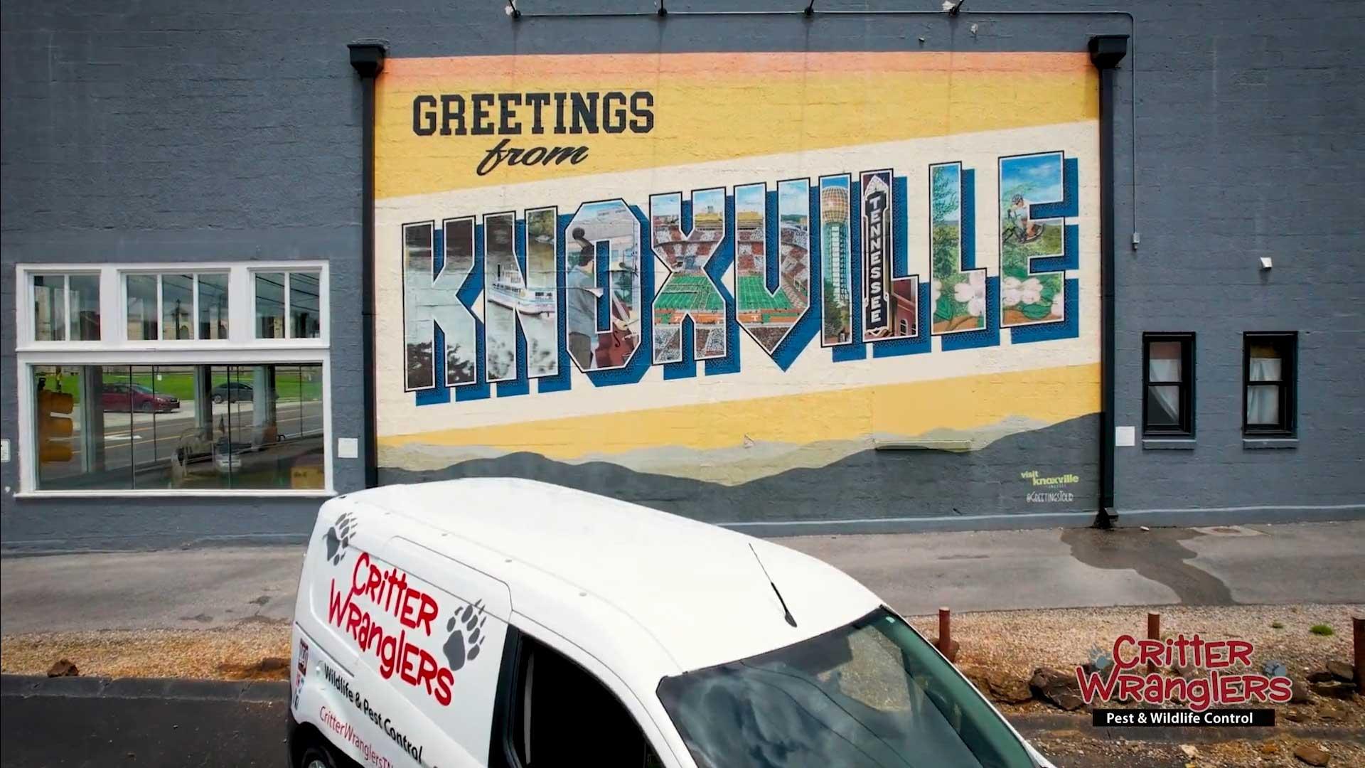 Pest Control & Wildlife Removal in Knoxville, TN