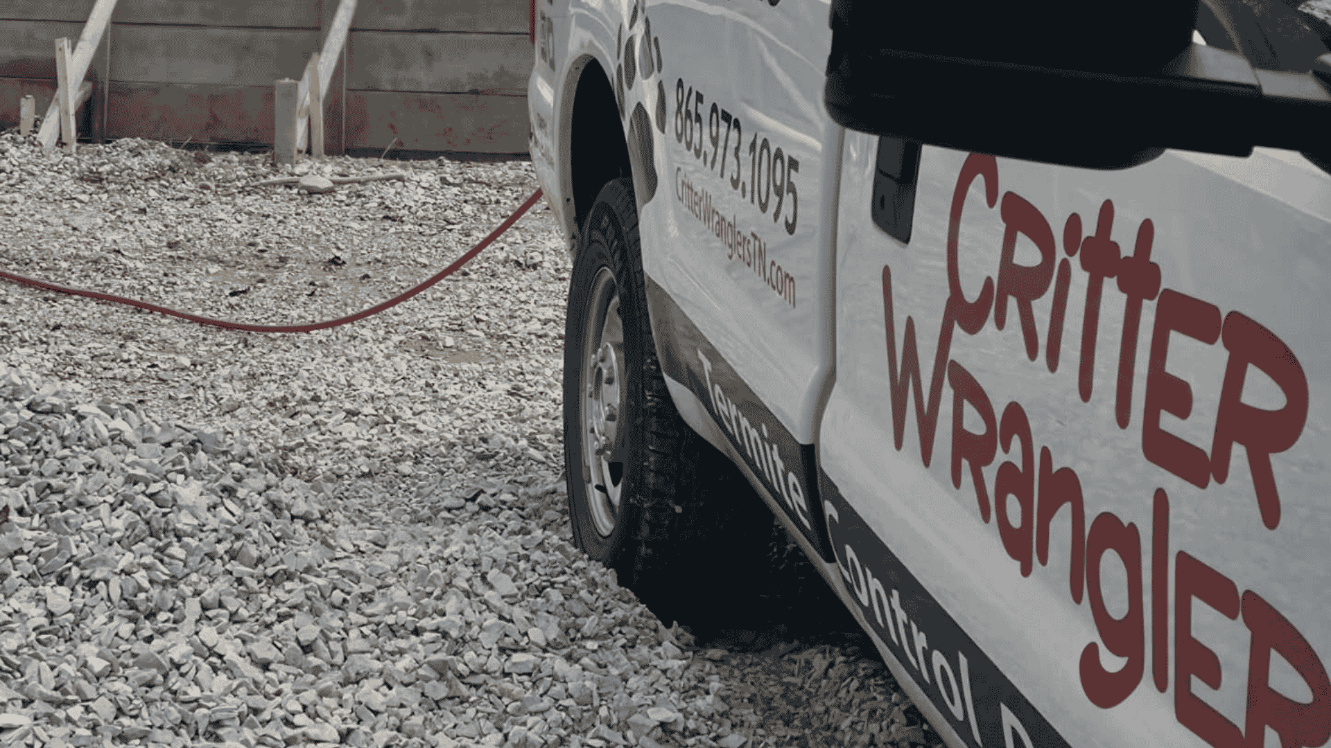Termite Control in Powell, TN