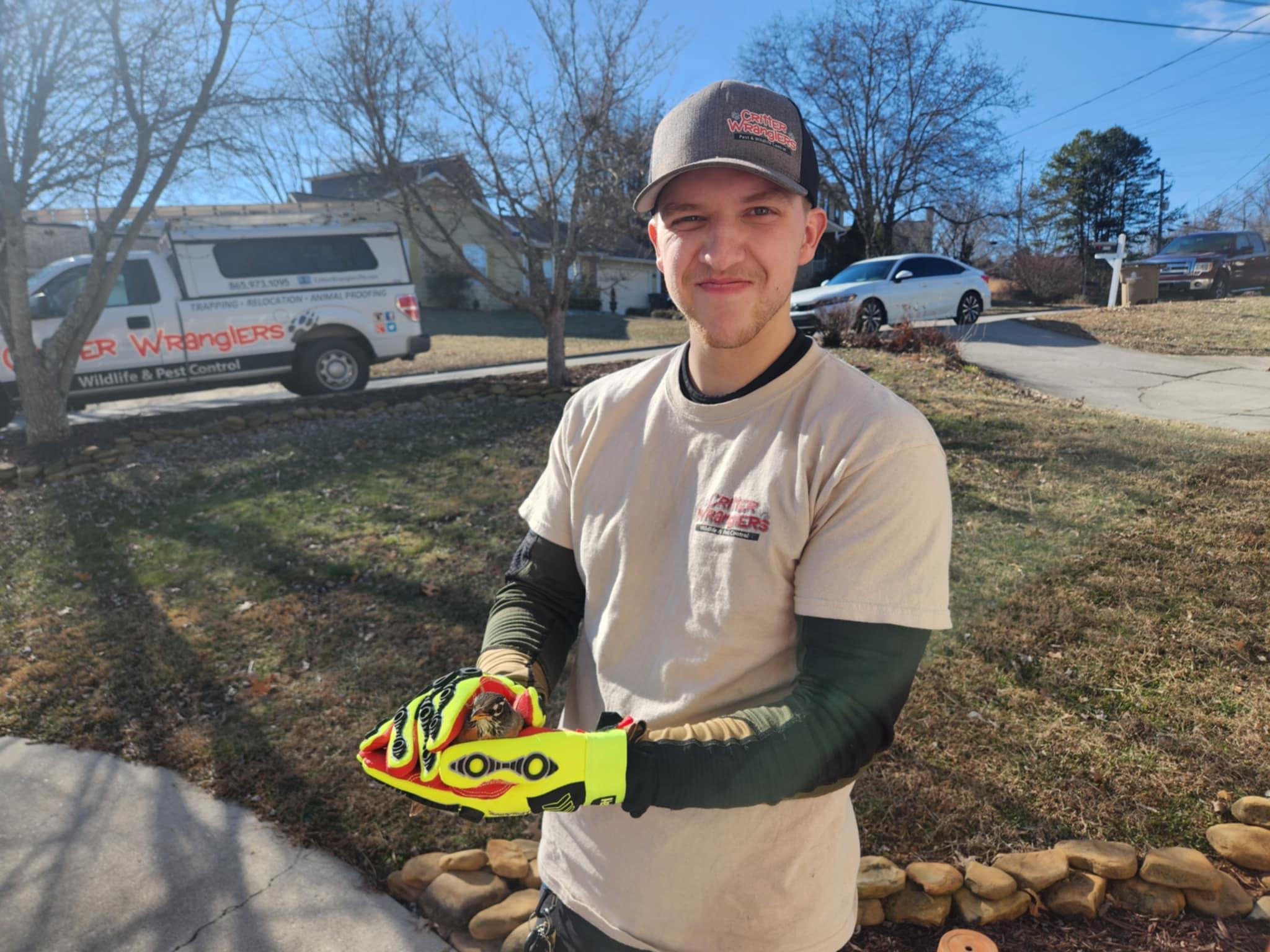 bird-removal image Critter Wranglers technician with service van