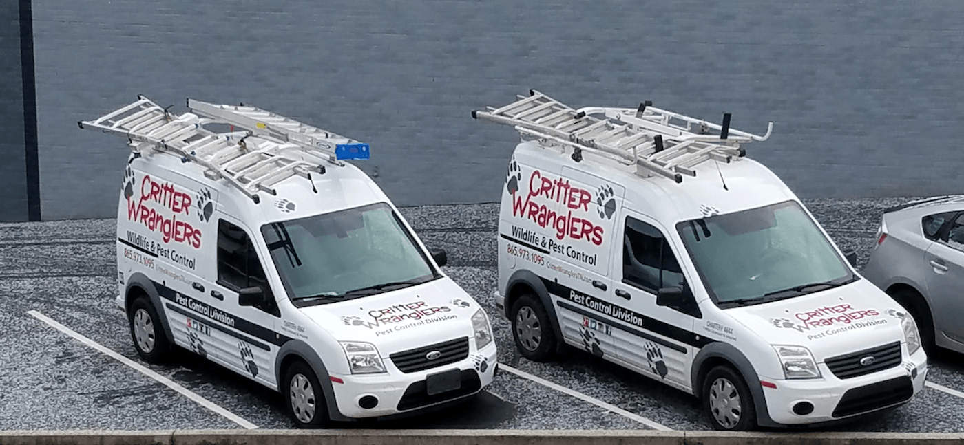 Critter Wranglers - Pest Control
