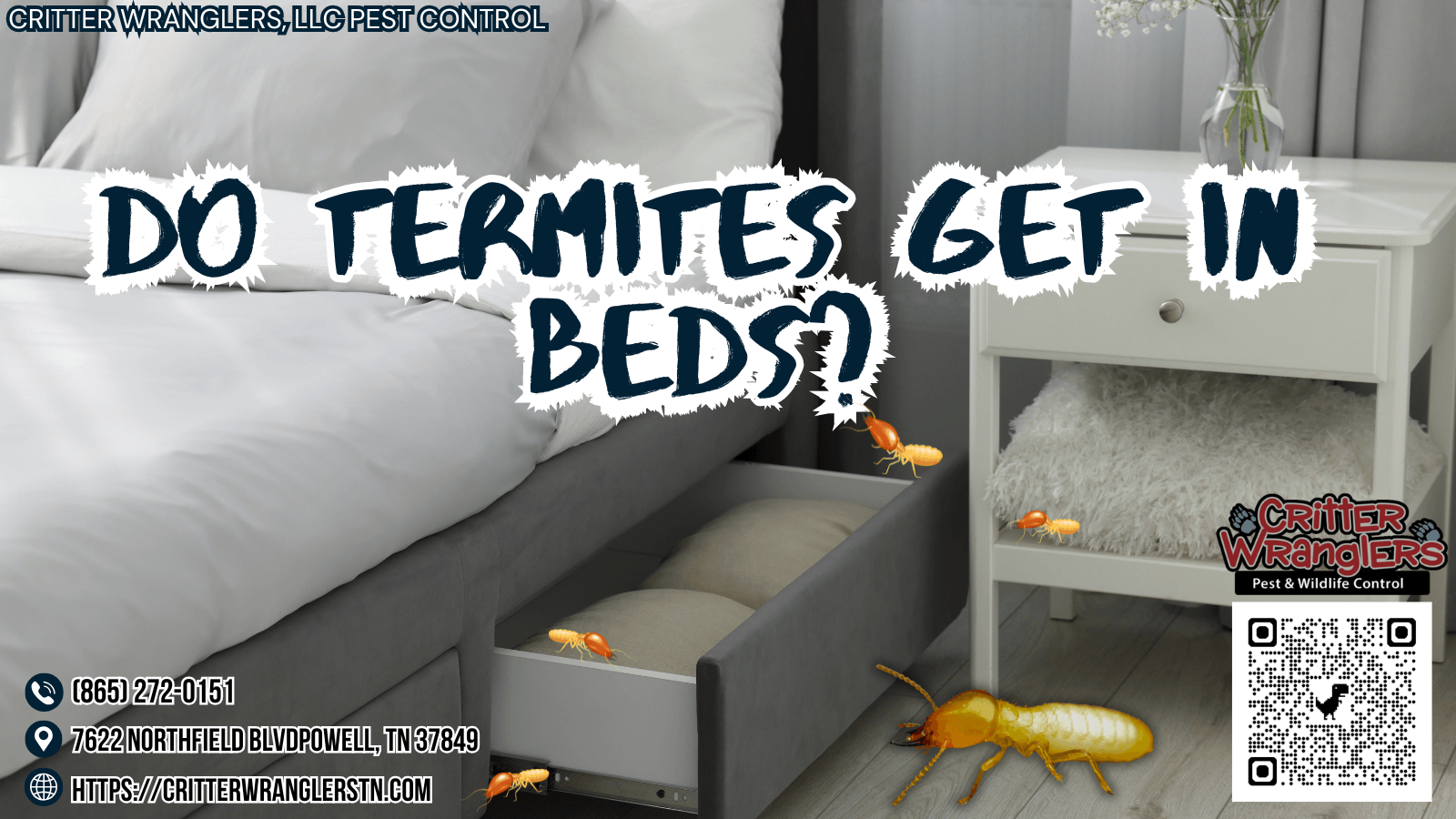 Do Termites Get In Beds