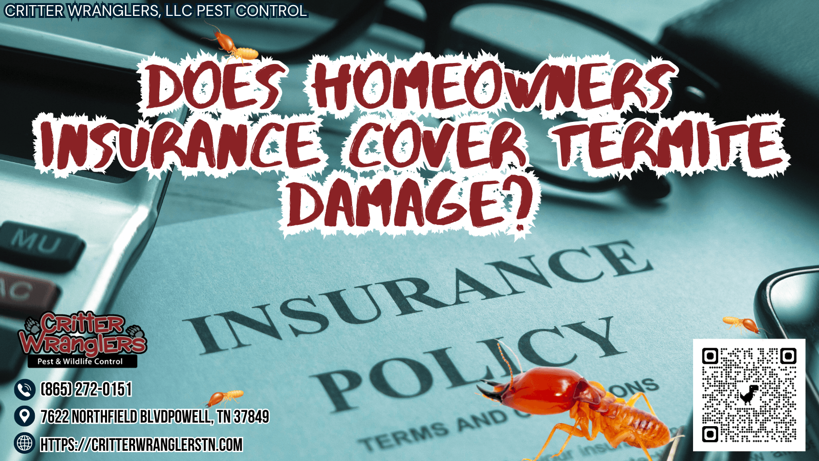 Does Homeowners Insurance Cover Termite Damage