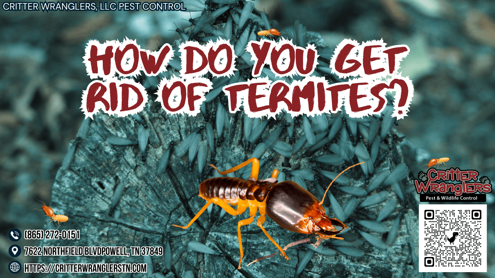 How Do You Get Rid Of Termites