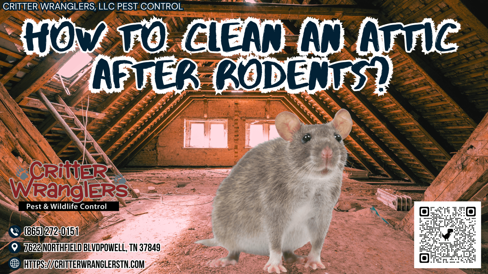 How To Clean An Attic After Rodents