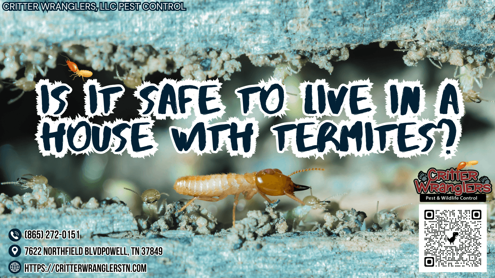 Is It Safe To Live In A House With Termites
