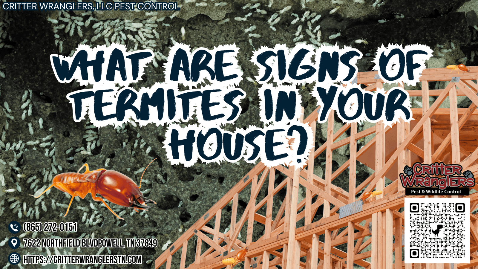 What Are Signs Of Termites In Your House