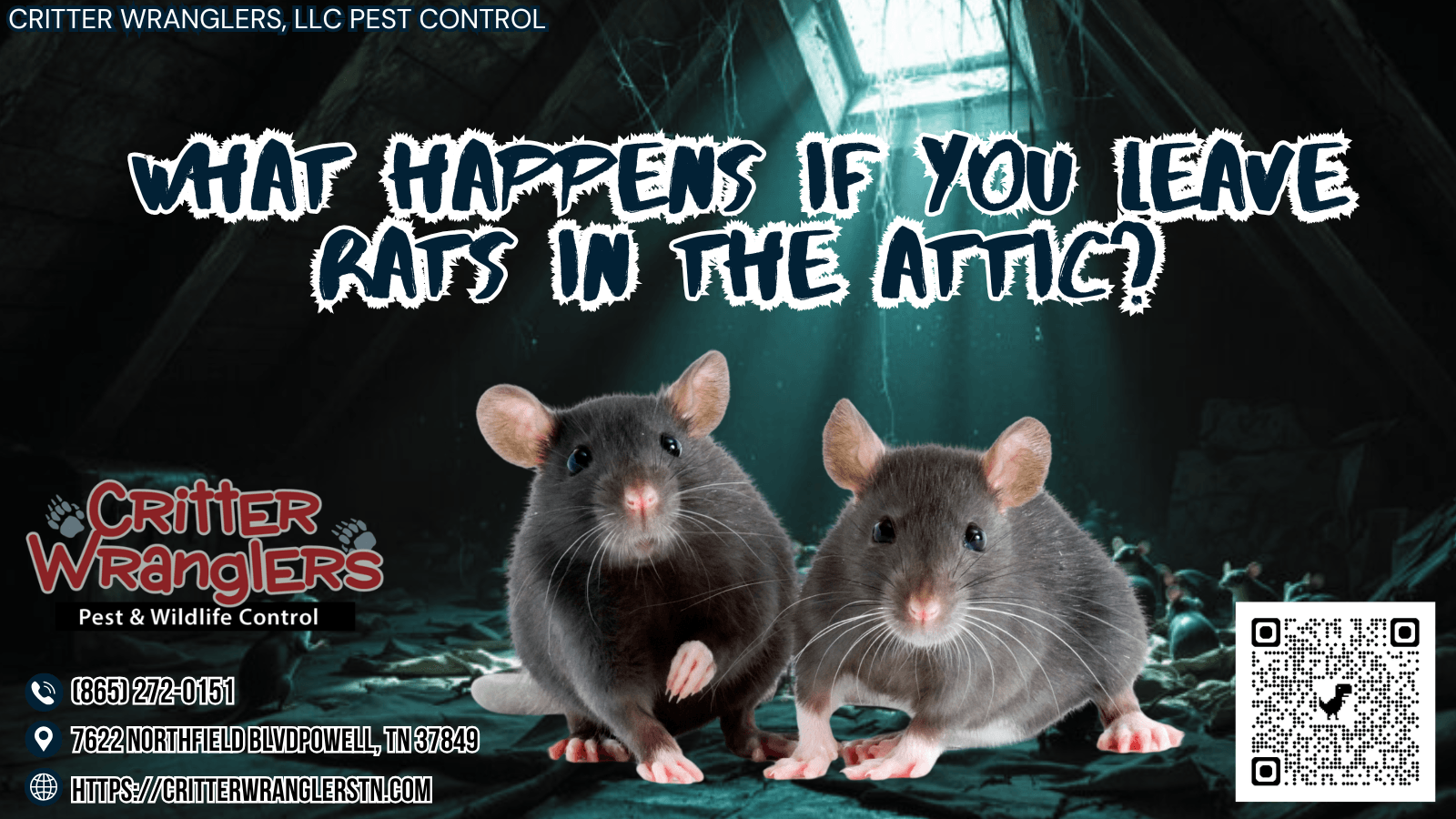 What Happens If You Leave Rats In The Attic