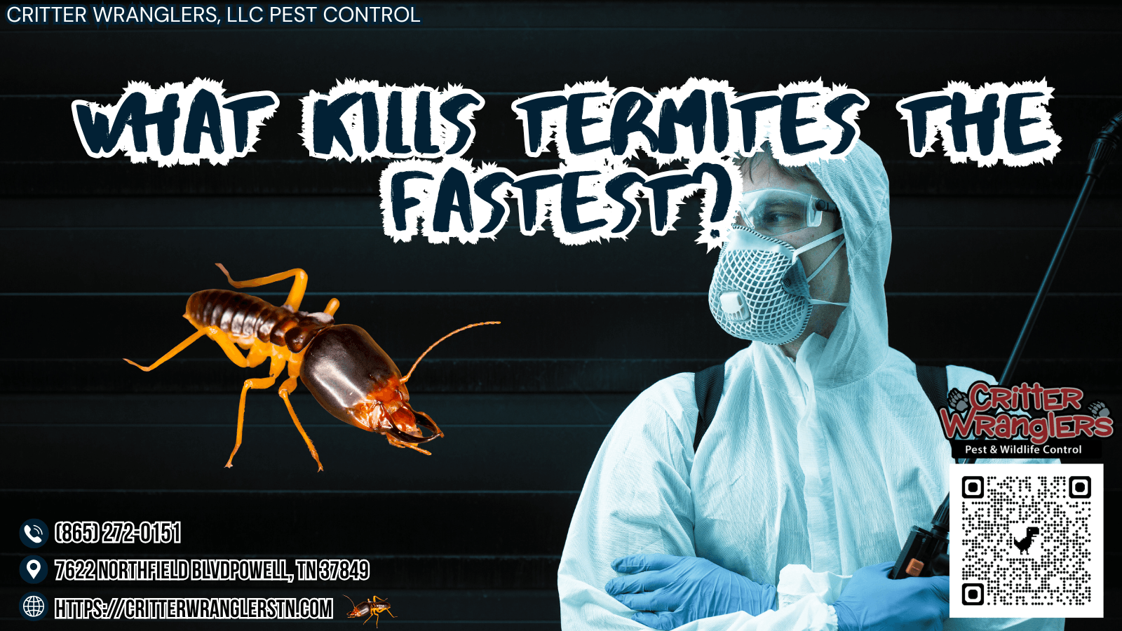 What Kills Termites The Fastest