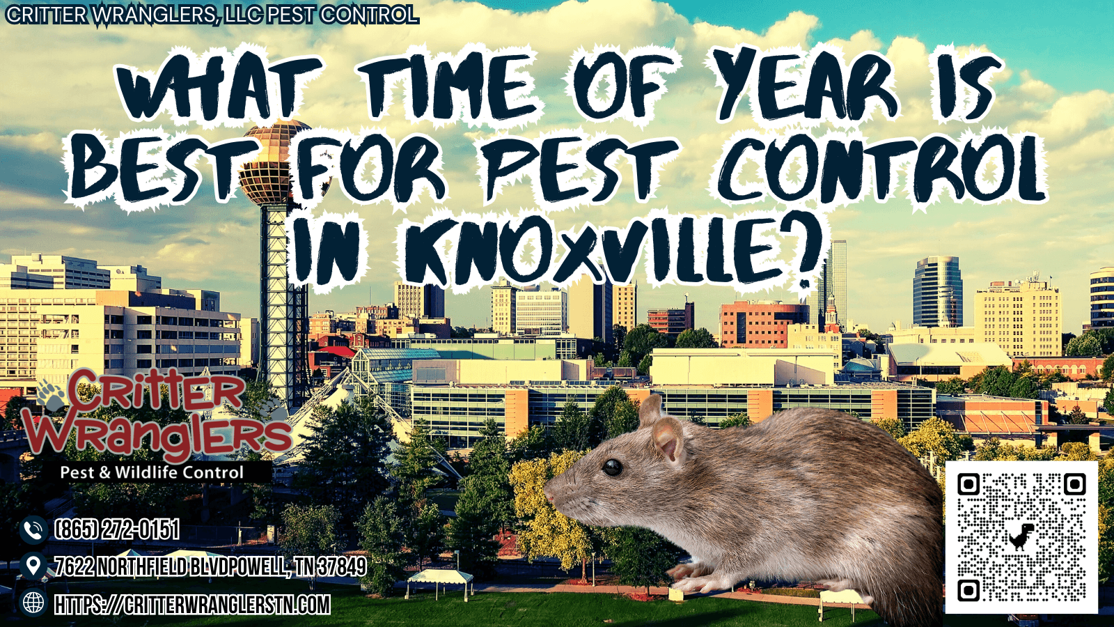 What Time Of Year Is Best For Pest Control In Knoxville