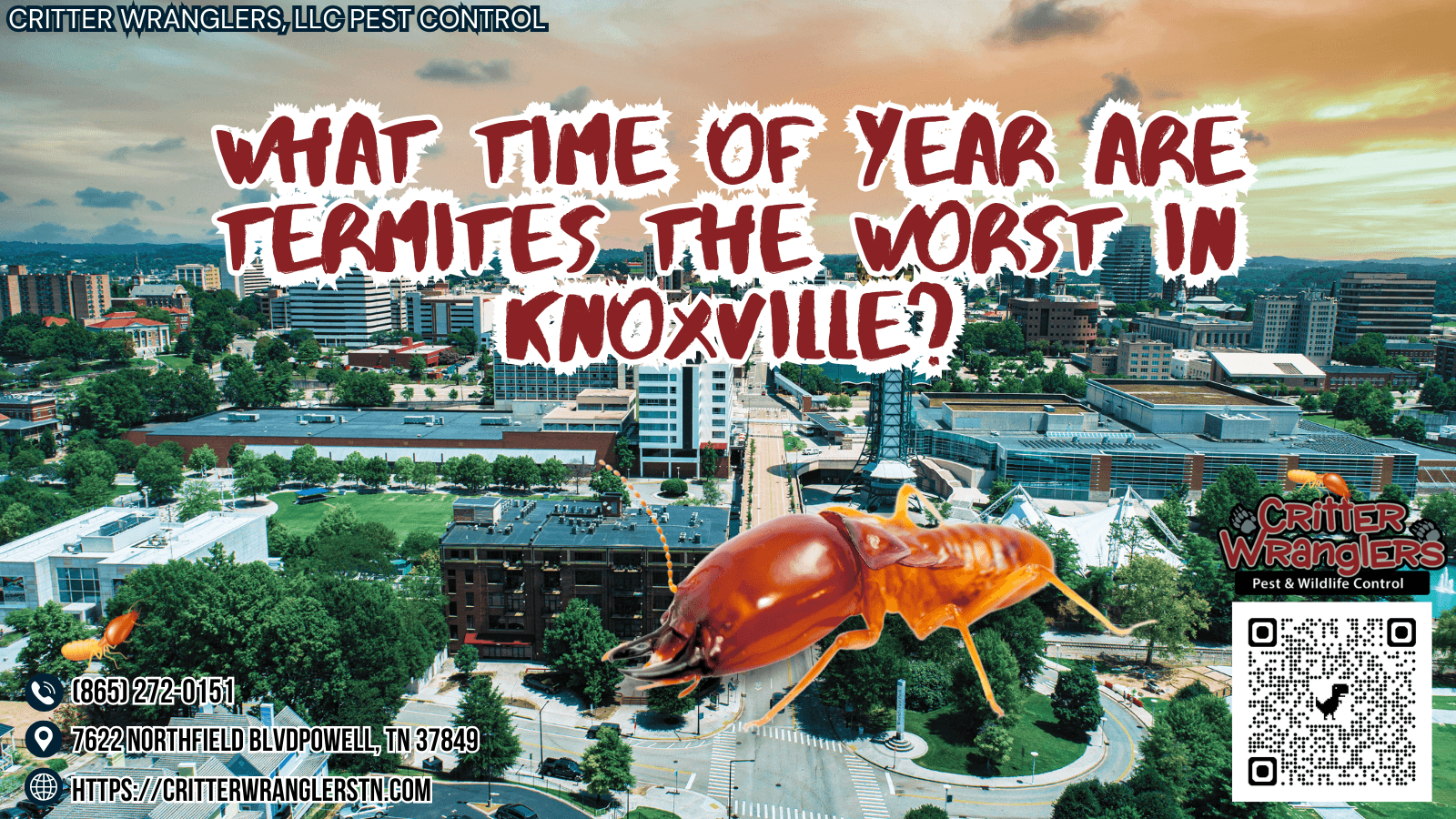 What Time of Year Are Termites the Worst in Knoxville
