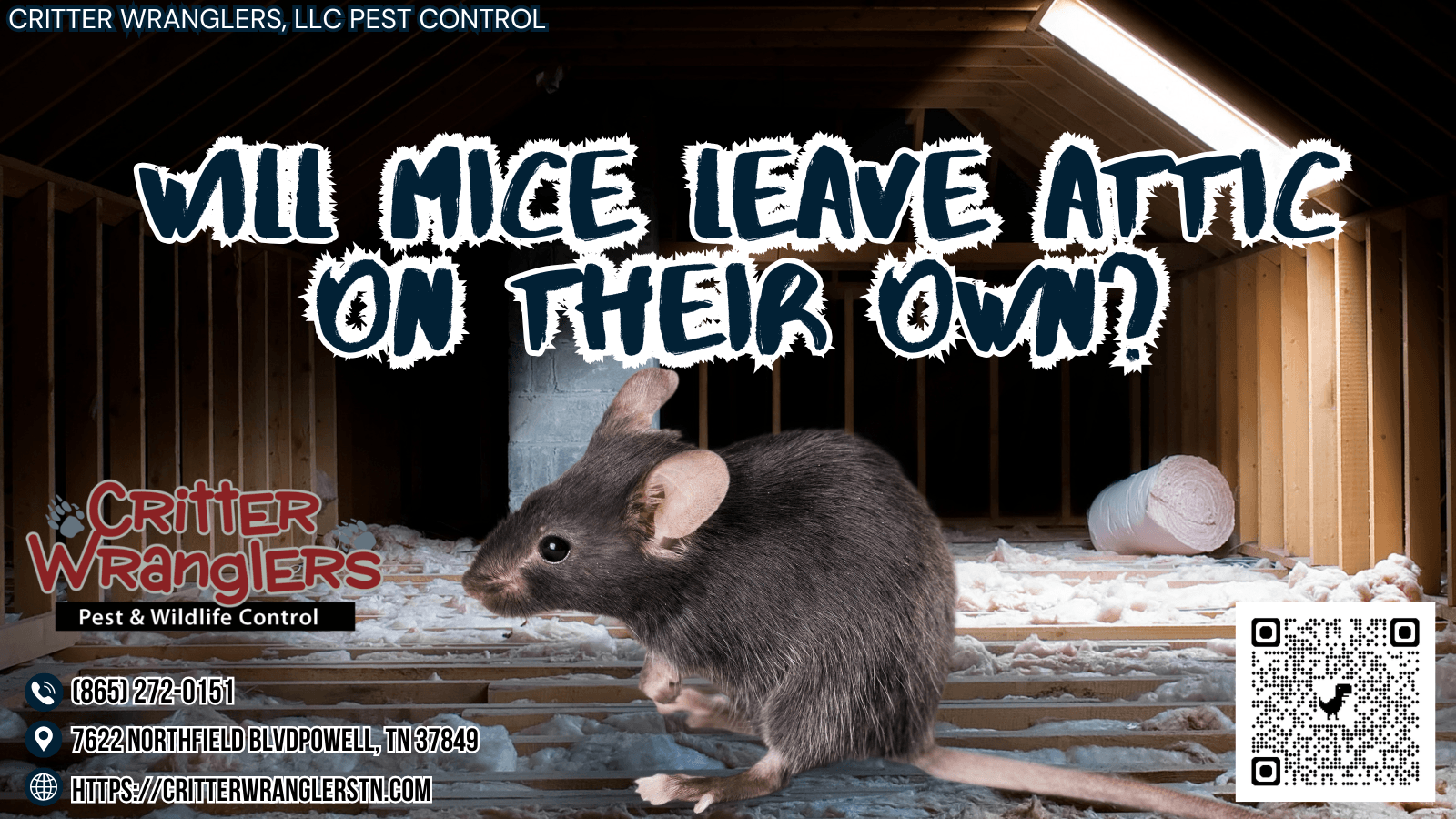 Will Mice Leave Attic On Their Own