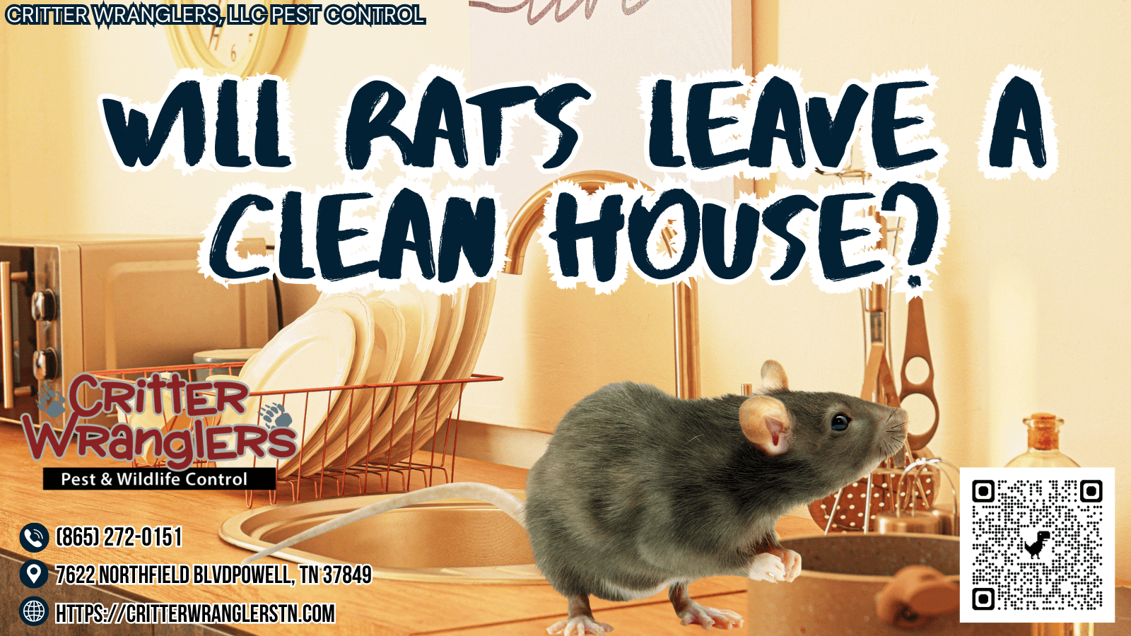 Will Rats Leave A Clean House