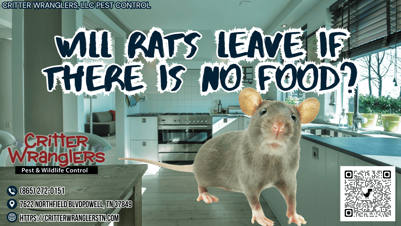 Will Rats Leave If There Is No Food