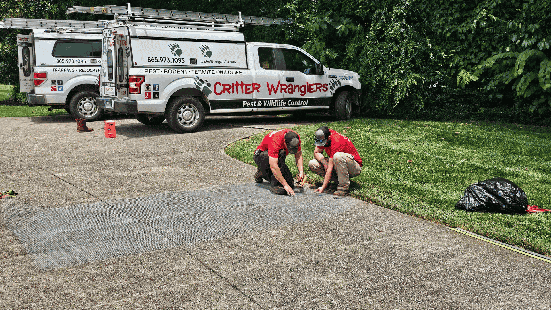 Termite Control in Maryville, TN