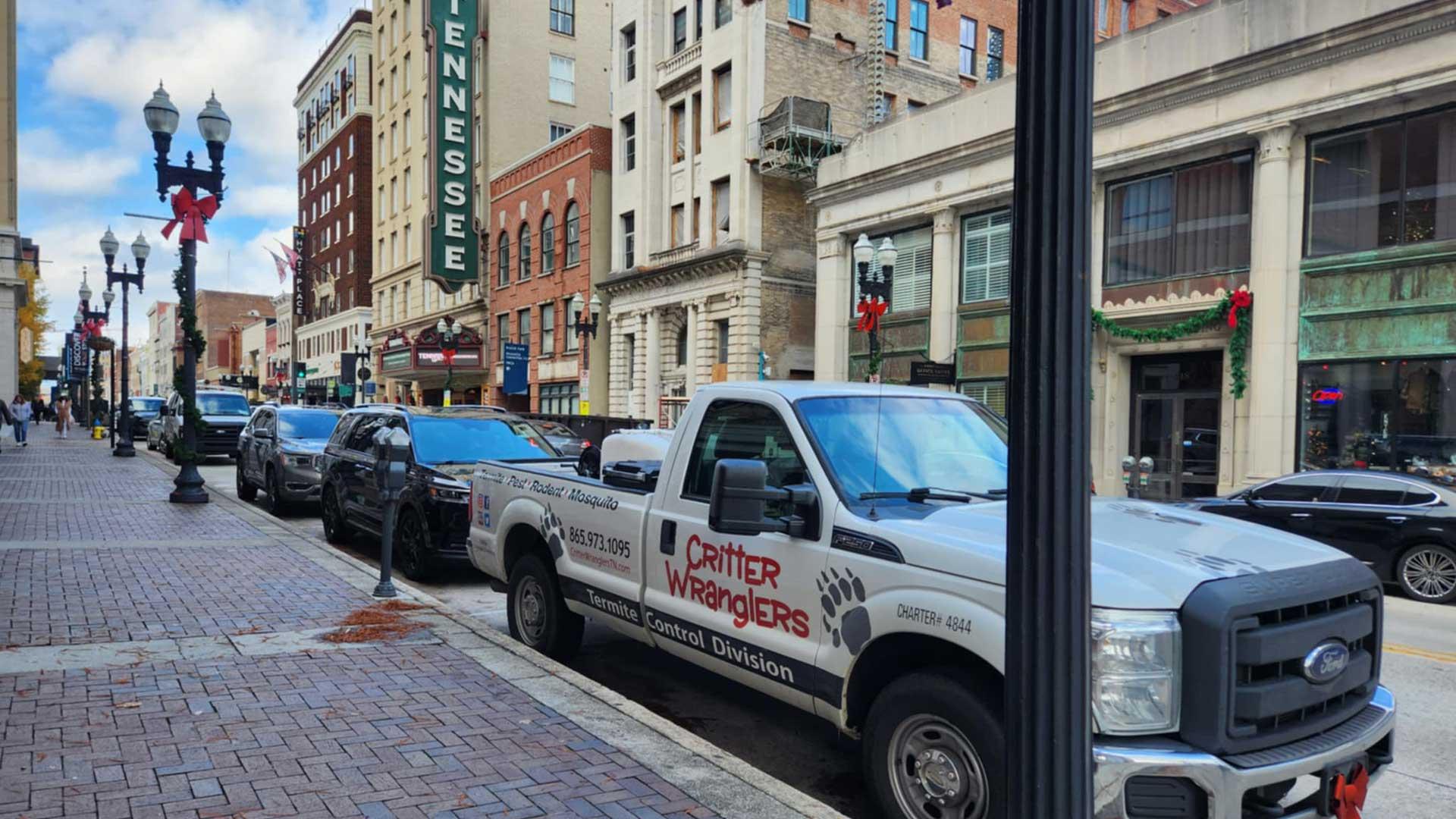 Pest Control & Wildlife Removal in South Knoxville, TN