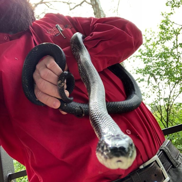 snake-2 image Critter Wranglers technician with service van