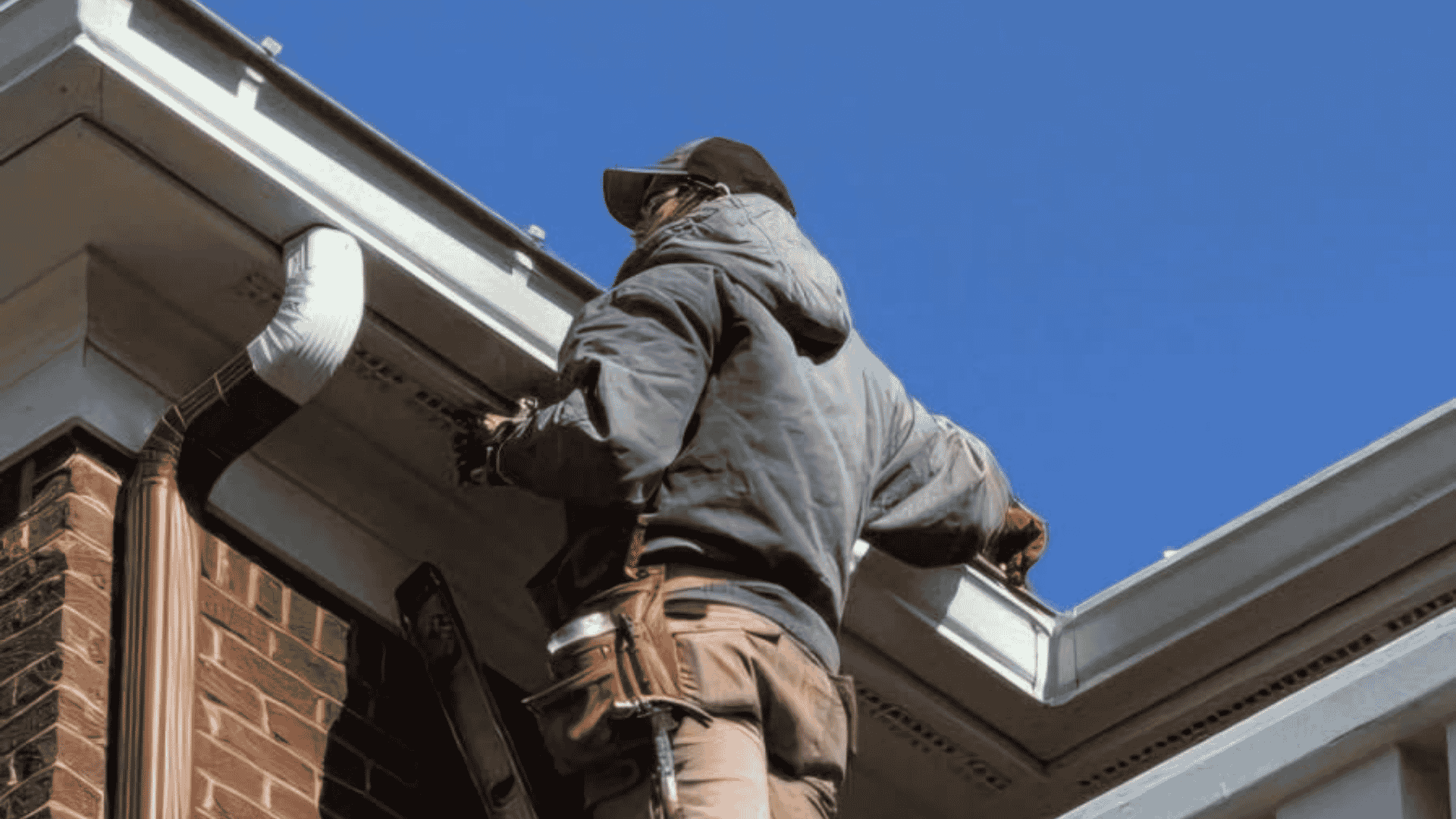 Squirrels in the Attic: A Knoxville Homeowner's Guide
