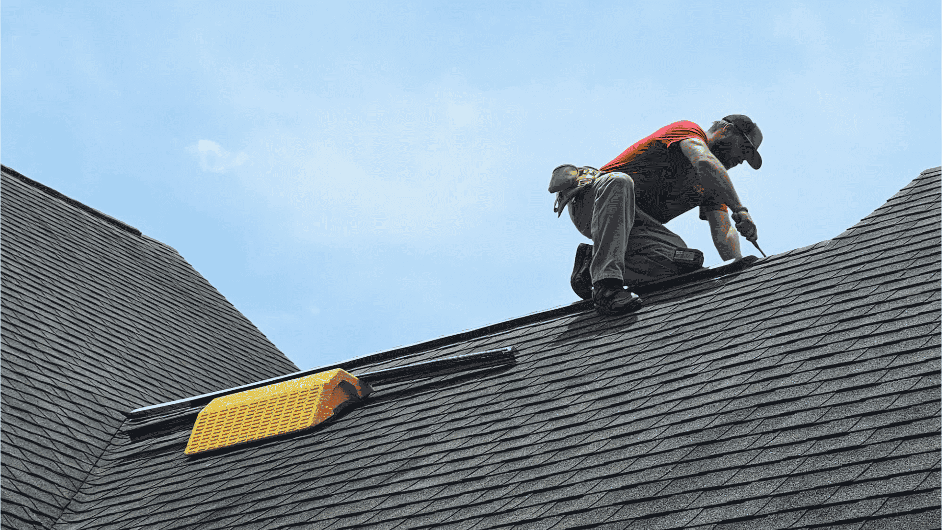 Termite Control in Oak Ridge, TN